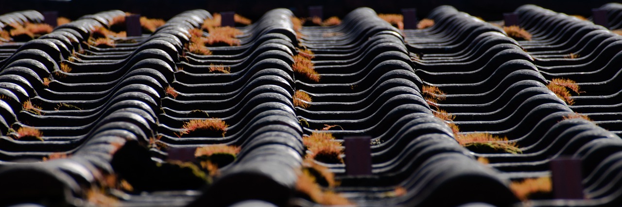 24/7 Roof Repair: Oro Valleys Ultimate Protection