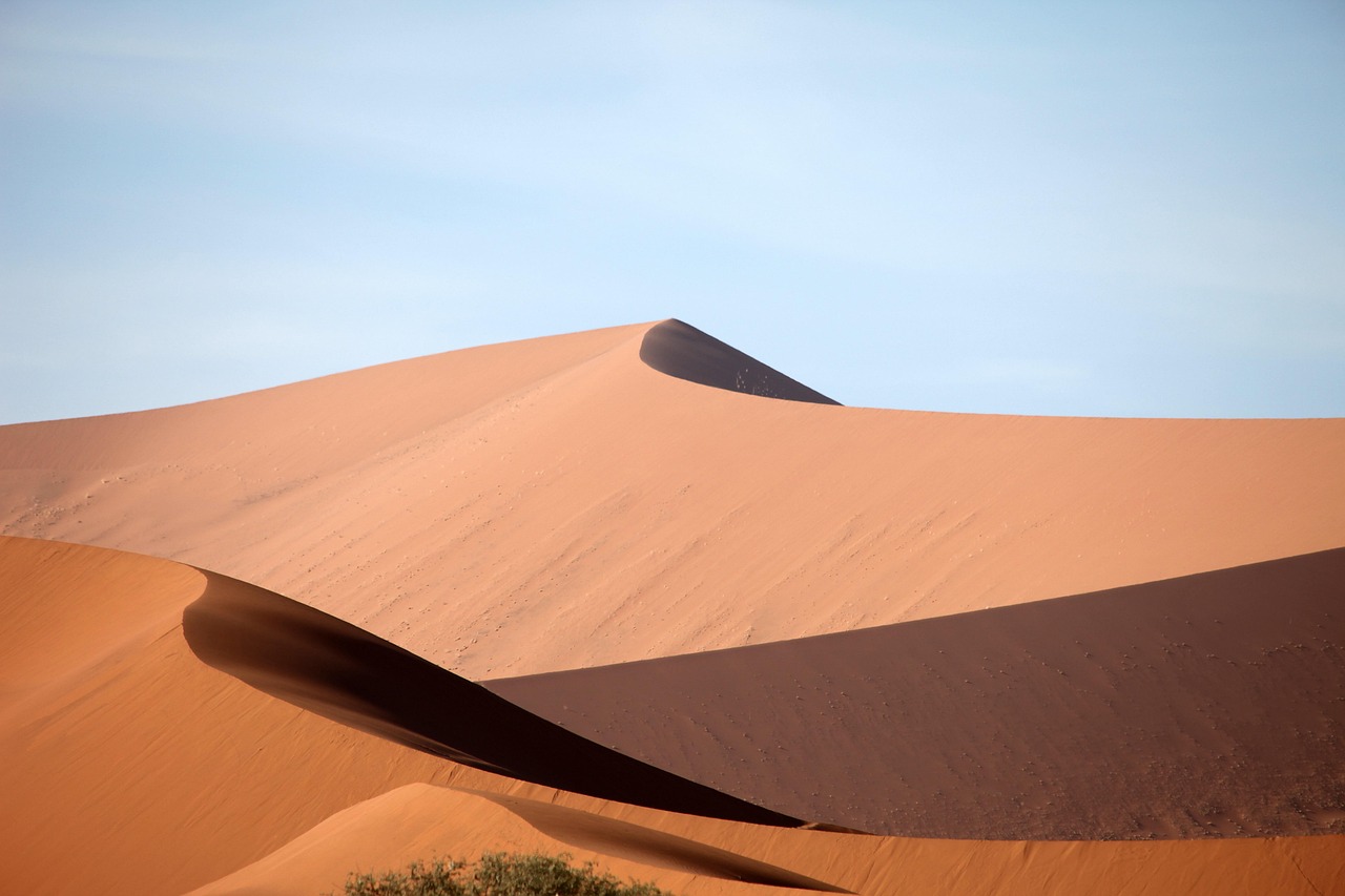 how dust and heat affect garage doors in the desert climate