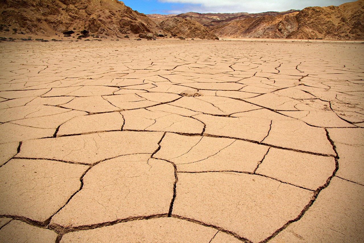 how dust and heat affect garage doors in the desert climate