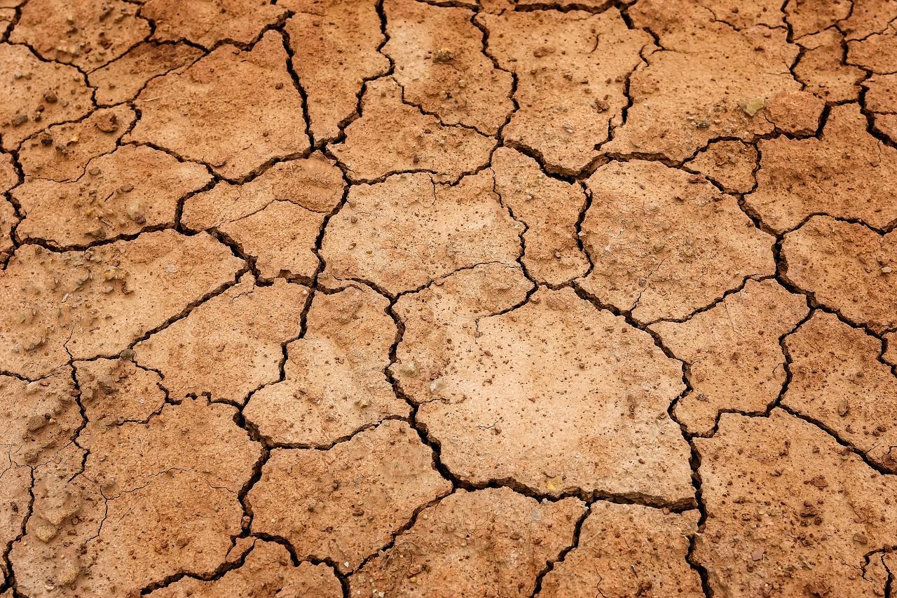 how dust and heat affect garage doors in the desert climate