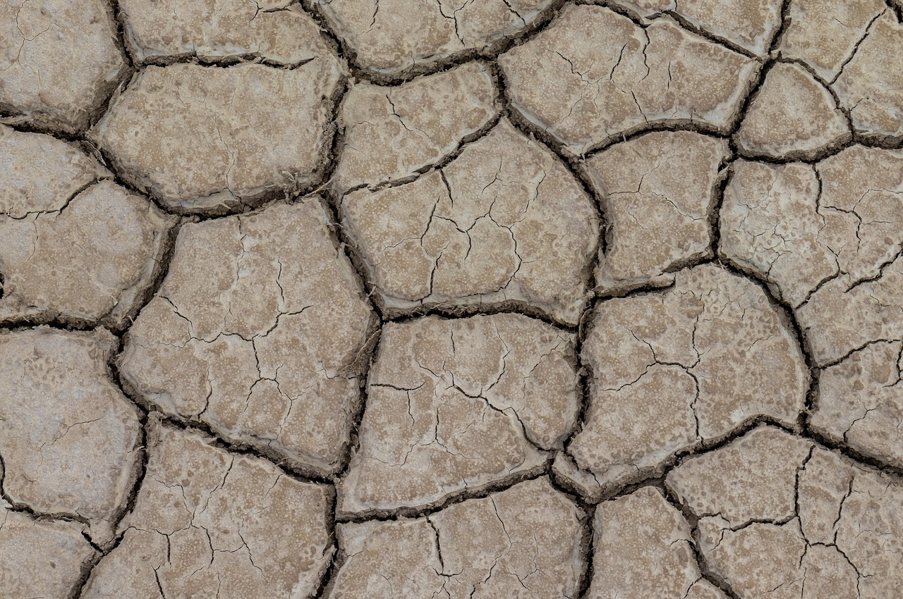 how dust and heat affect garage doors in the desert climate