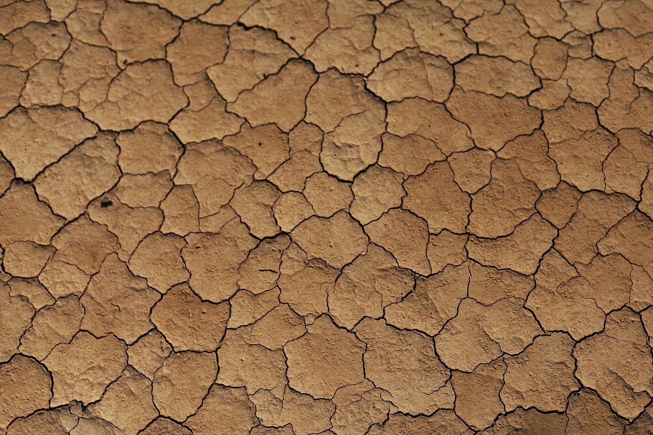how dust and heat affect garage doors in the desert climate