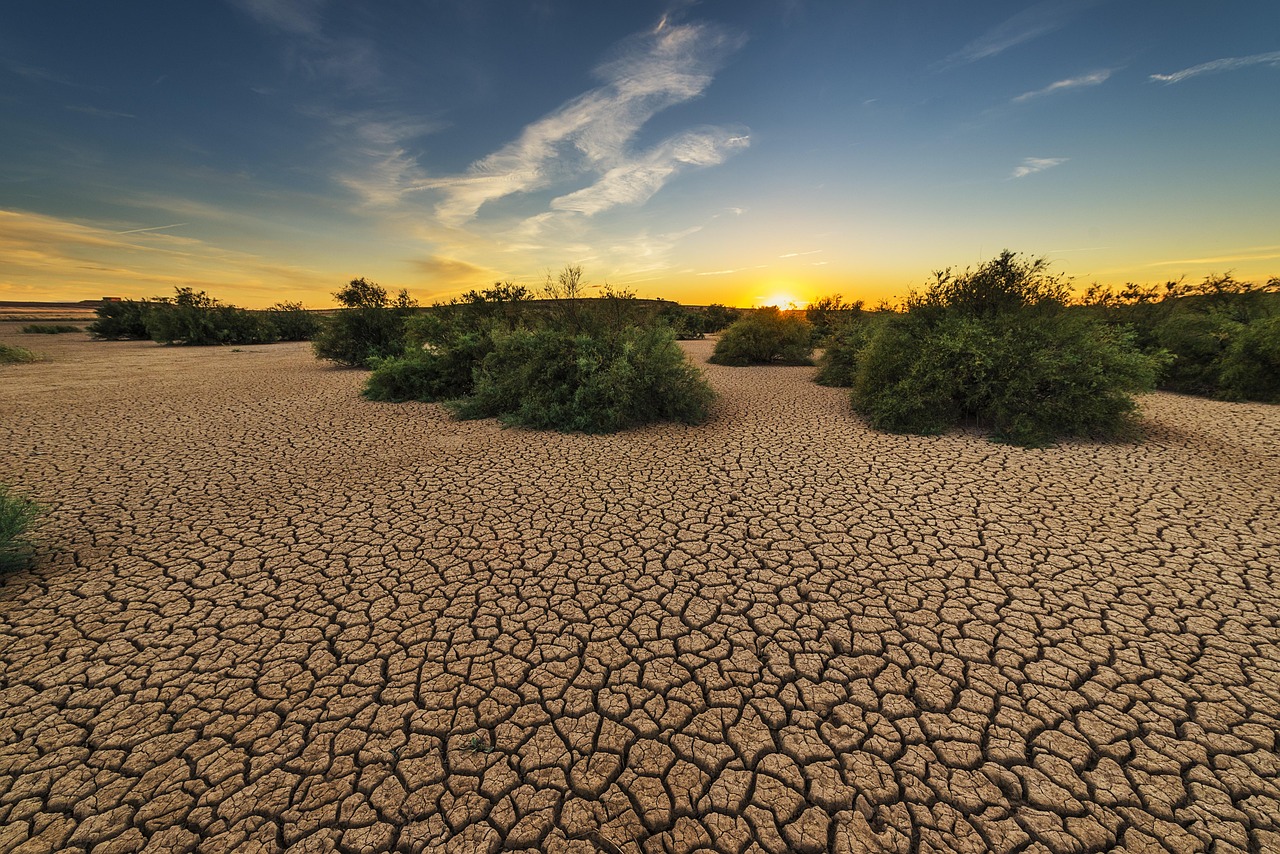 how dust and heat affect garage doors in the desert climate