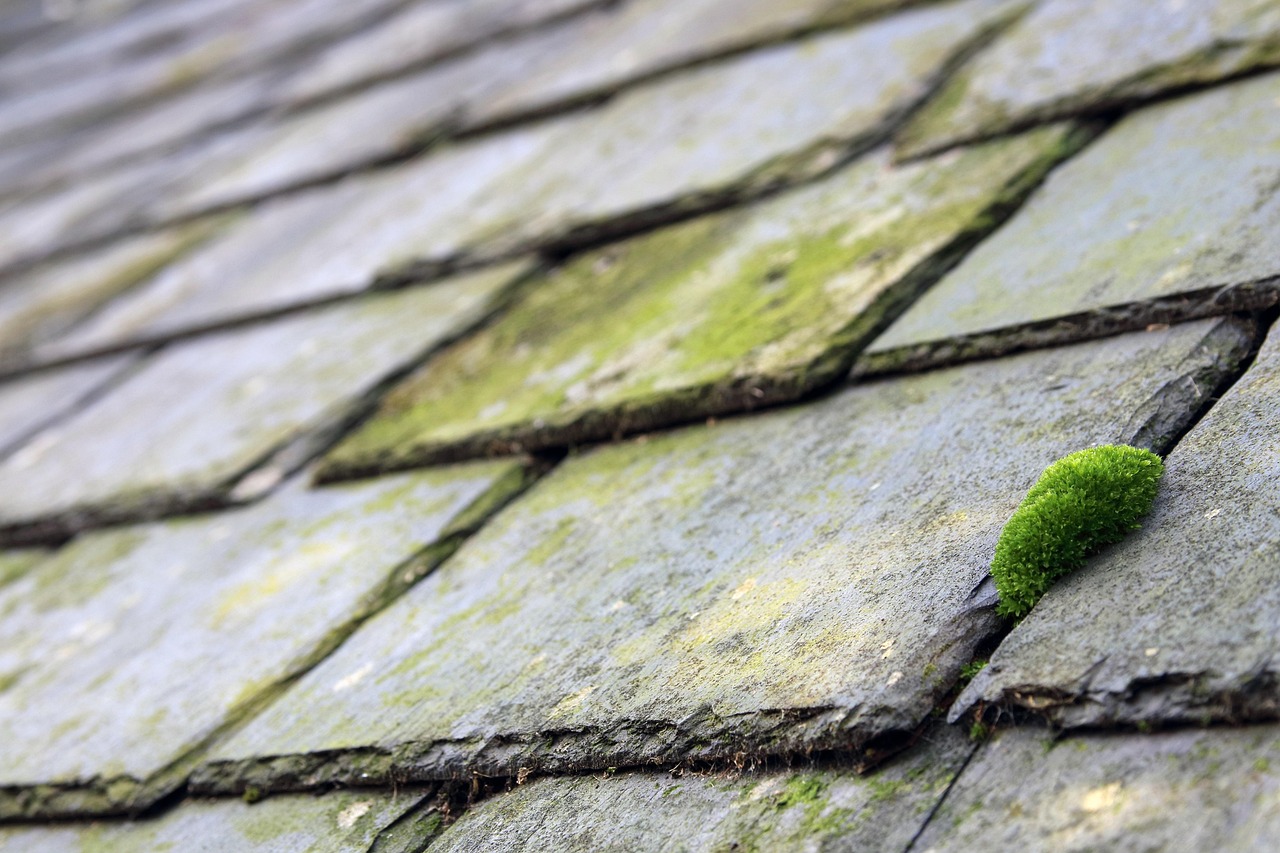 Oro Valley Roof Repair: Expert Solutions for Quick Fixes