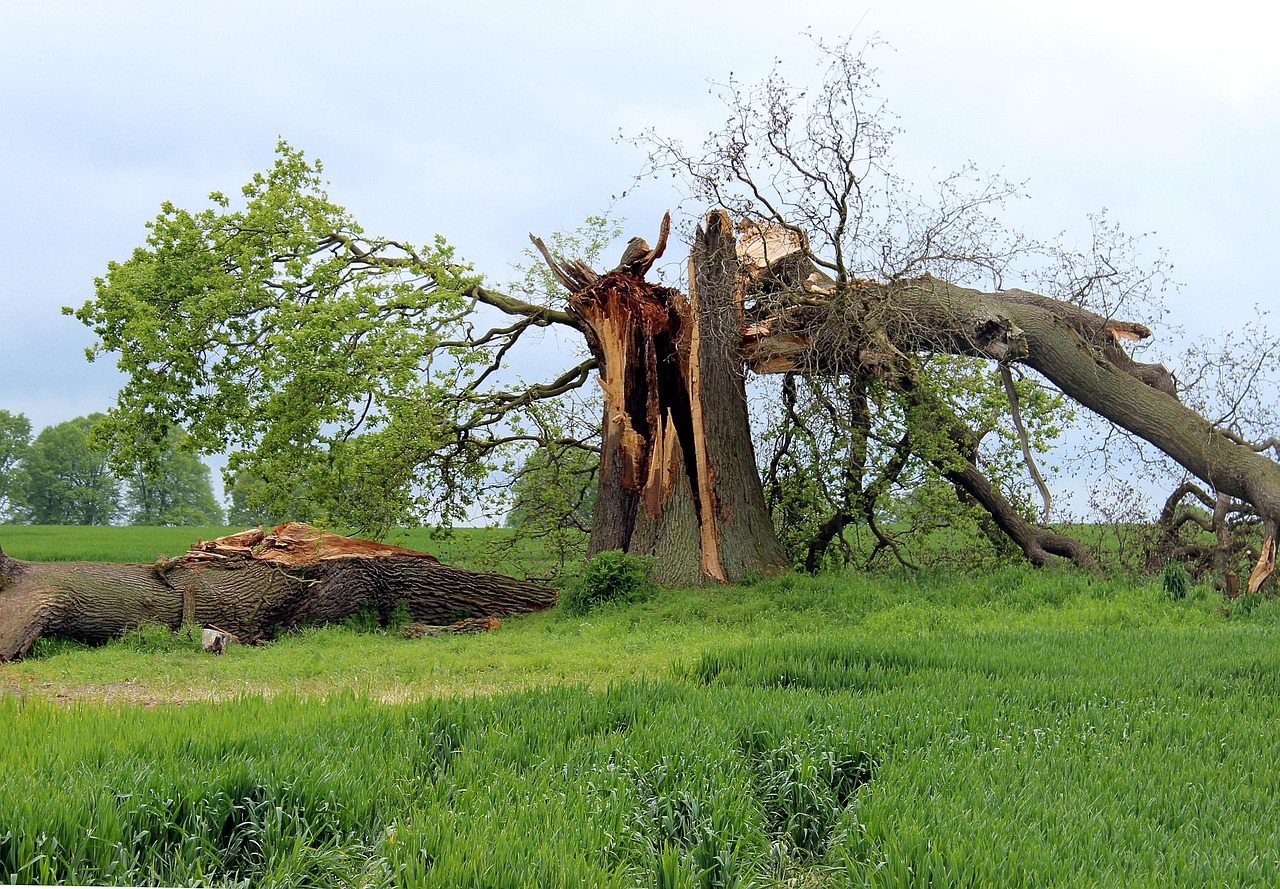 Storm Damage Roof Repair Oro Valley