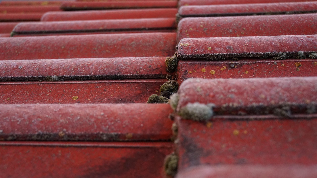 Swift Oro Valley Roof Repairs: Stress-Free, Mess-Free Solutions